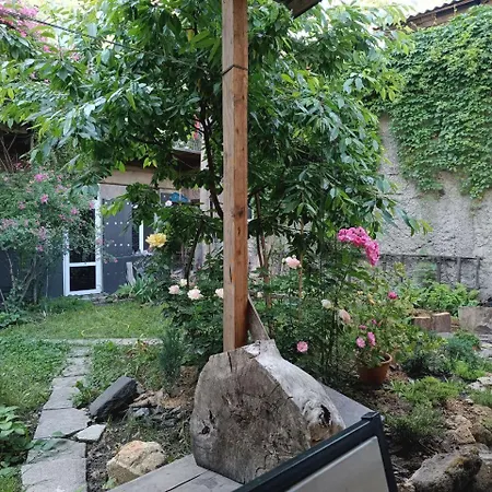 номер в доме у моря с бассейном Odessza